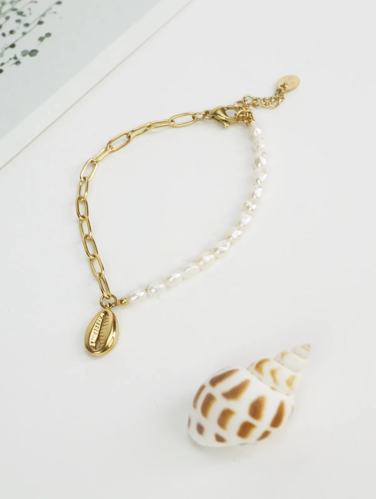 Marina | Pulseira com Conchas