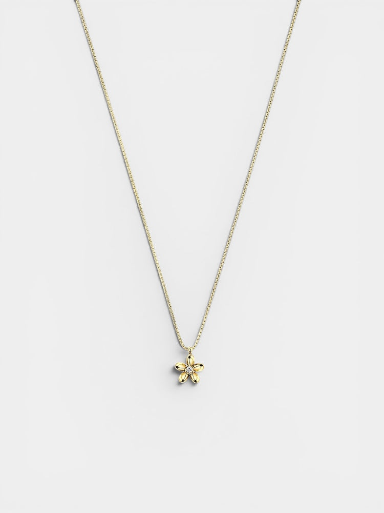 Lani dourada | Colar de corrente com flor