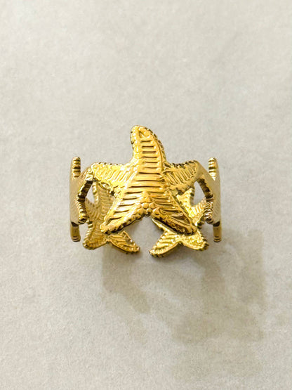 Dança das Estrelas | Anel ajustável com banho de ouro 14k